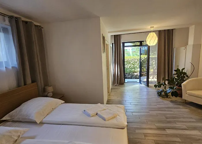 Neferprod - Is - Cam 05 Timişoara